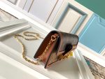 louis-vuitton-dauphine-chain-wallet-monogram-small-leather-goods-M68746_PM2_Front-view.png