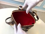 louis-vuitton-alma-bb-damier-ebene-canvas-handbags-N41221_PM2_Front-view.png