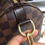 louis-vuitton-speedy-bandouliere-25-damier-ebene-canvas-handbags-N41368_PM2_Front-view.png