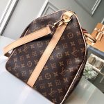 louis-vuitton-keepall-bandouliere-55-monogram-canvas-travel-M41414_PM2_Front-view-1.png