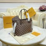 louis-vuitton-damier-ebene-neverfull-pm-n41359.jpg